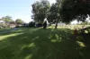 238 Fox Island Road, Gunbower, Vic 3566-Image