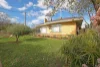238 Walnut Ave, Mildura, Vic 3500-Image
