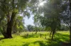 238 Williams Road, Barnawartha, Vic 3688-Image