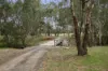 238 Williams Road, Barnawartha, Vic 3688-Image