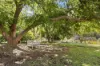 2385 Balingup-Nannup Road, Nannup, WA 6275-Image