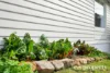 239 Chauncy Vale Road, Bagdad, Tas 7030-Image
