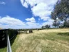 239 Towie Road, Middlesex, WA 6258-Image