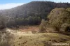 239 Wyre Forest Road, Molesworth, Tas 7140-Image