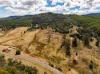 2394 Frankford Road, Frankford, Tas 7275-Image