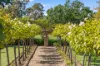 2395 Millwood Road, Coolamon, NSW 2701-Image