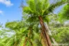 23a Falls Creek Road, Cooran, Qld 4569-Image
