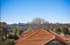23B Robertson Street, Campsie, NSW 2194-Image