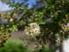 24/14 Lomandra Terrace, Hamlyn Terrace, NSW 2259-Image