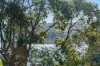 24/177 Bellevue Road, Bellevue Hill NSW 2023-Image