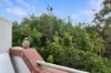 24/41 Dickson Way, Point Lookout, Qld 4183-Image