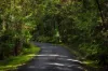 24/951 Broken Head Road, Broken Head, NSW 2481-Image