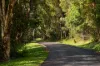 24/951 Broken Head Road, Broken Head, NSW 2481-Image
