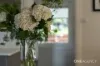 24 Ashburner Street, Devonport, Tas 7310-Image