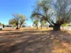 24 Avon Street, Texas, Qld 4385-Image