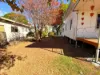 24 Avon Street, Texas, Qld 4385-Image