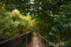 24 Barbers Road, Kalorama, Vic 3766-Image