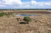 24 Barrys Place, Qunaba, Qld 4670-Image