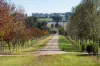 24 Berick Lane, Table Top, NSW 2640-Image
