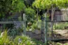 24 Boston Street, West Croydon, SA 5008-Image