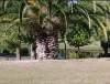 24 Boulder Street, Bentley, WA 6102-Image