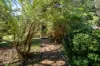 24 Bowman Close, Scotsdale, WA 6333-Image