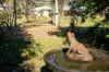 24 Bowman Close, Scotsdale, WA 6333-Image