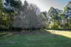 24 Bowman Close, Scotsdale, WA 6333-Image