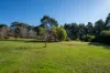 24 Bowman Close, Scotsdale, WA 6333-Image