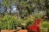 24 Bruce Road, Silverleaves, Vic 3922-Image