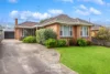 24 Cambra Road, Belmont, Vic 3216