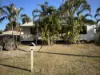 24 Church Street, Horton, Qld 4660-Image