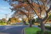 24 Coombe Road, Allenby Gardens SA 5009-Image