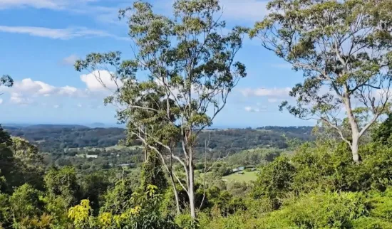 24 Crystal Street, Mapleton, Qld 4560