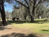 24 Decastilla Road, Bakers Hill, WA 6562-Image