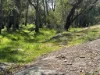 24 Decastilla Road, Bakers Hill, WA 6562-Image