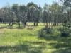 24 Decastilla Road, Bakers Hill, WA 6562-Image