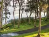 24 Diamond Head Drive, Budgewoi, NSW 2262-Image