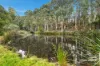 24 Dromana Drive, Oyster Cove, Tas 7150-Image