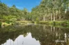 24 Dromana Drive, Oyster Cove, Tas 7150-Image