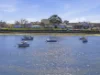 24 Esplanade South, George Town, Tas 7253-Image