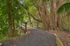 24 Fountains Road, Narara, NSW 2250-Image