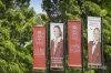 24 Glencairn Avenue, Camberwell, Vic 3124-Image