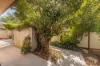 24 Glenn Street, Morayfield, Qld 4506-Image
