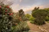 24 Grant Street, Ashgrove, Qld 4060-Image