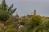 24 Grant Street, Ashgrove, Qld 4060-Image