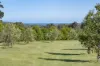 24 Grasstree Place, Yallingup, WA 6282-Image