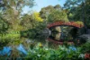 24 Grey Street, Keiraville, NSW 2500-Image
