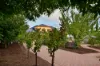 24 Harcus Place, Port Augusta West, SA 5700-Image