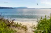 24 Hayes Road, Adventure Bay, Tas 7150-Image